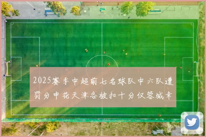 2025赛季中超前七名球队中六队遭罚分申花天津各被扣十分仅蓉城幸免